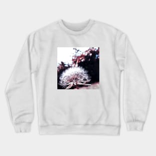 Dandelion flower photos Crewneck Sweatshirt